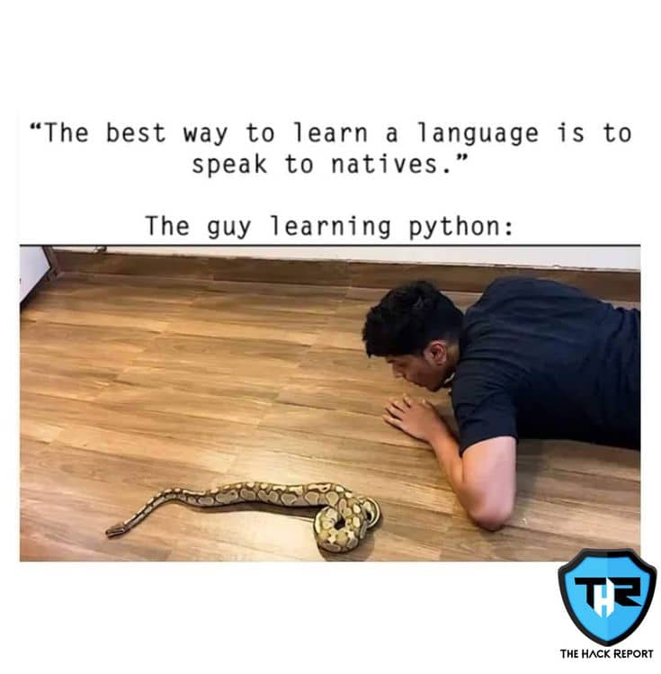 h-ng-d-n-t-ng-b-c-l-p-tr-nh-web-v-i-python-kieblog