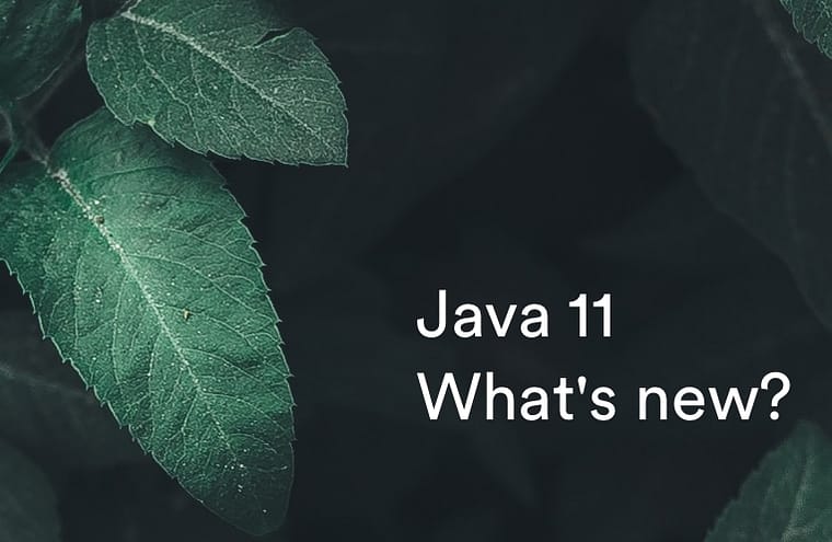 java-11-what-is-new