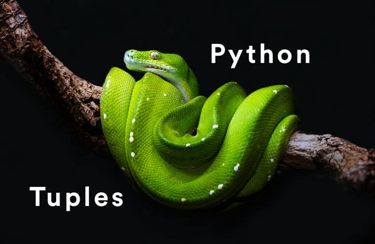 python-tuples-la-gi